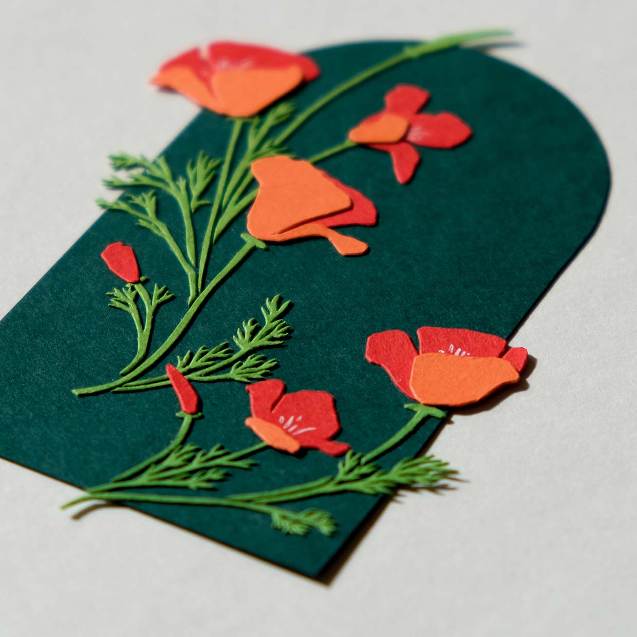 An angled detail view of the California poppies reveals little white stamens on the petals as well as the textures of the delicate leaves.