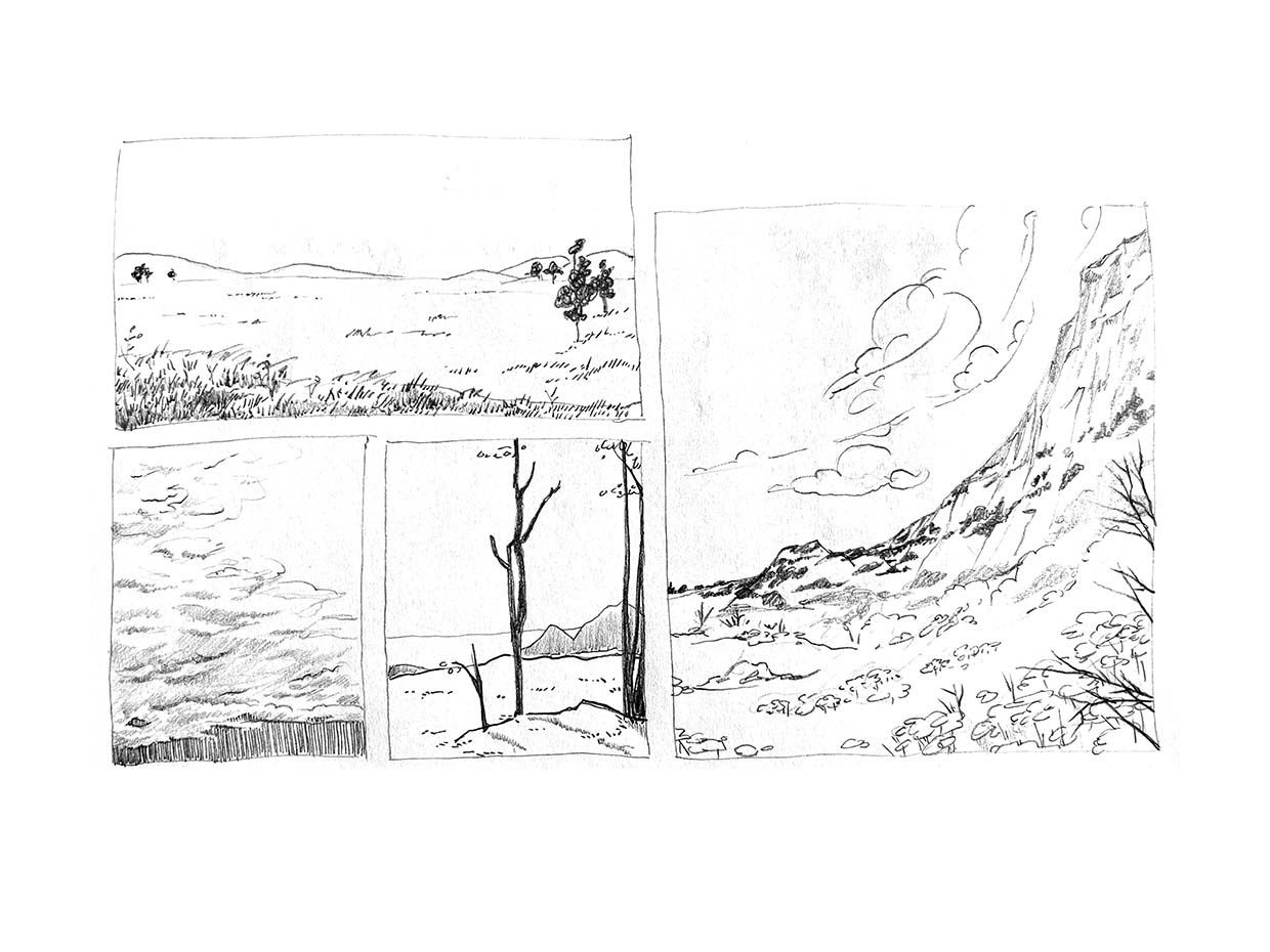 A loose arrangement of landscape sketches exploring relationships between sky, flora, and earth.