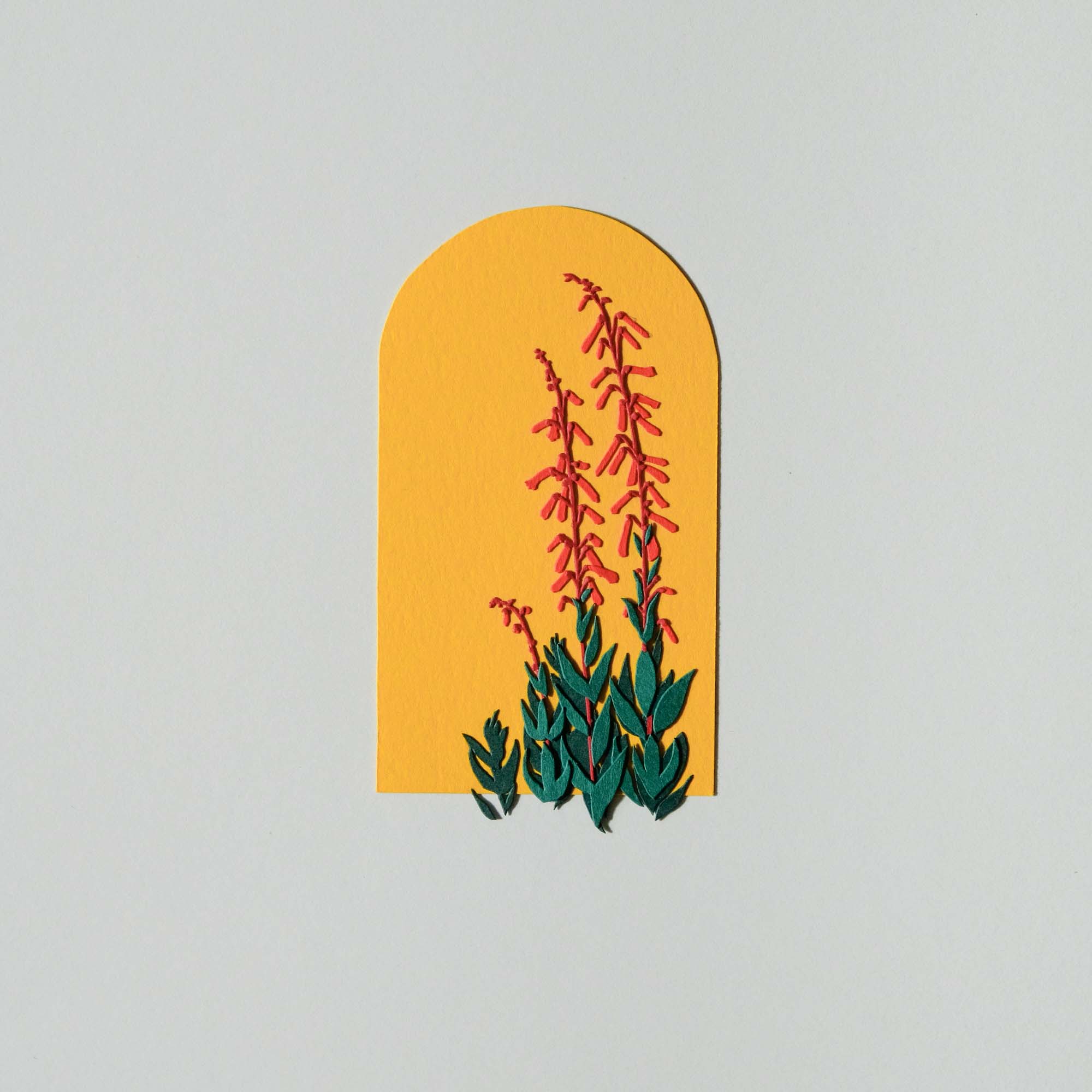 A paper scarlet bugler plant with red flowers sits on an arched yellow background.