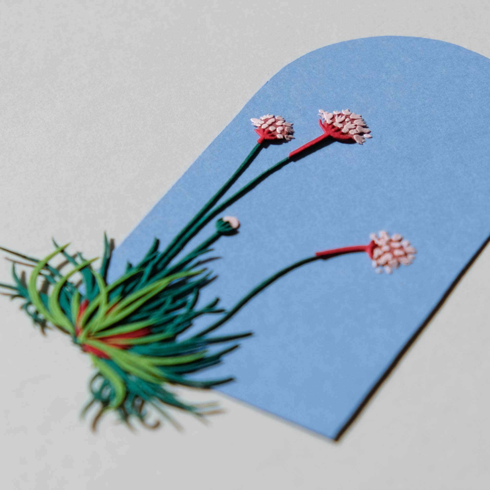 A close-up of the sea thrift flowers shows the layers of paper that form the tiny petals and the thin leaves.